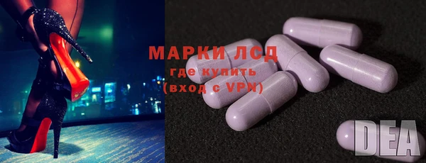 прущие грибы Бугульма