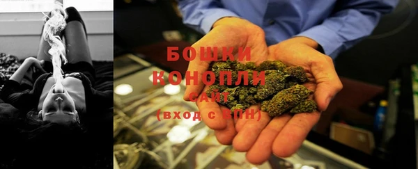 прущие грибы Бугульма