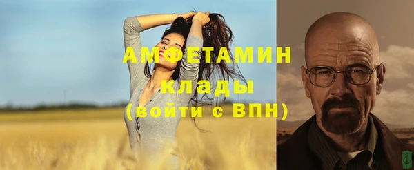 прущие грибы Бугульма