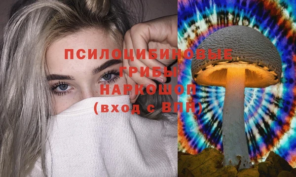 синтетический гашиш Бородино