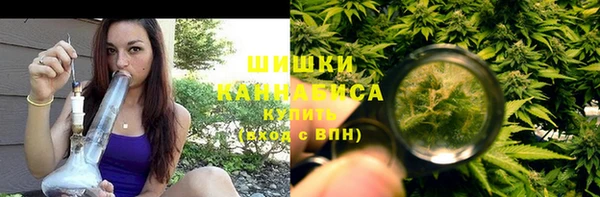 прущие грибы Бугульма
